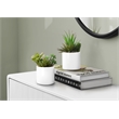 Artificial Plant - 7