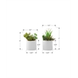 Artificial Plant - 7