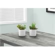Artificial Plant - 7