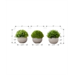 Artificial Plant - 5