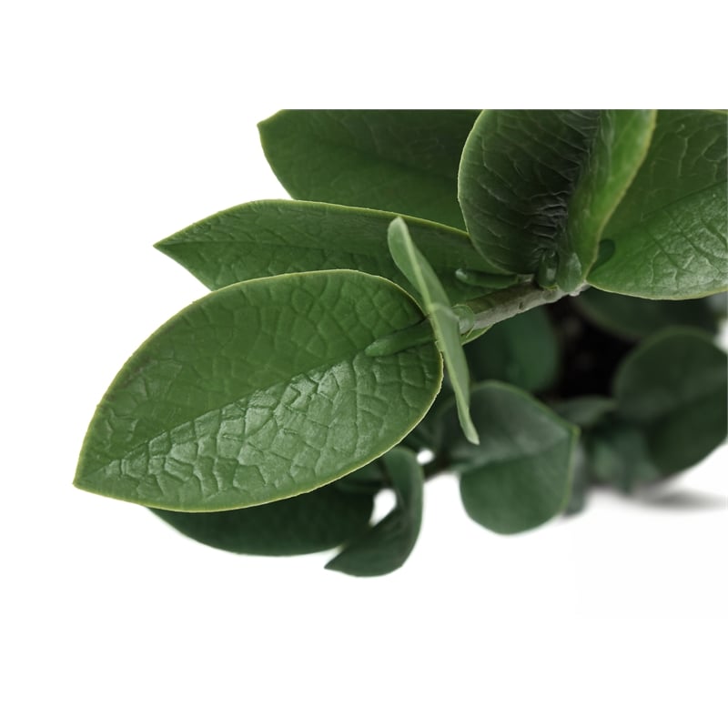 Artificial Plant - 20