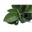 Artificial Plant - 20