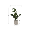 Artificial Plant - 20