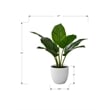 Artificial Plant - 17