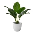 Artificial Plant - 17