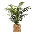 Artificial Plant - 24