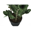 Artificial Plant - 29
