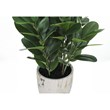 Artificial Plant - 31