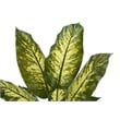 Artificial Plant - 47