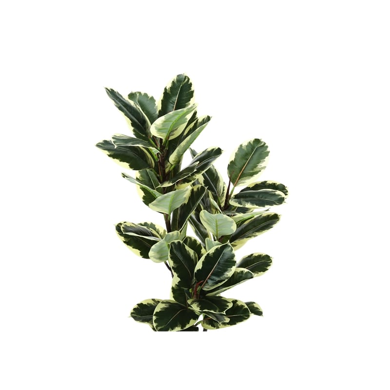 Artificial Plant - 47