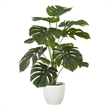 Artificial Plant - 24