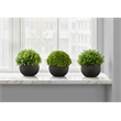 Artificial Plant - 5