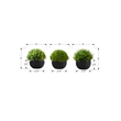 Artificial Plant - 5