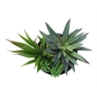 Artificial Plant - 7