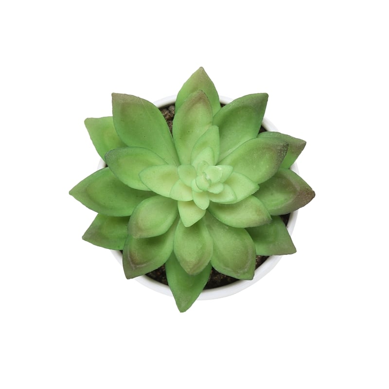 Artificial Plant - 6
