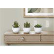 Artificial Plant - 6