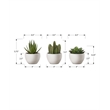 Artificial Plant - 6