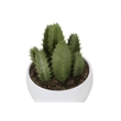 Artificial Plant - 6