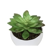 Artificial Plant - 6