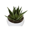 Artificial Plant - 6