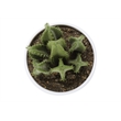 Artificial Plant - 6