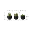 Artificial Plant - 6