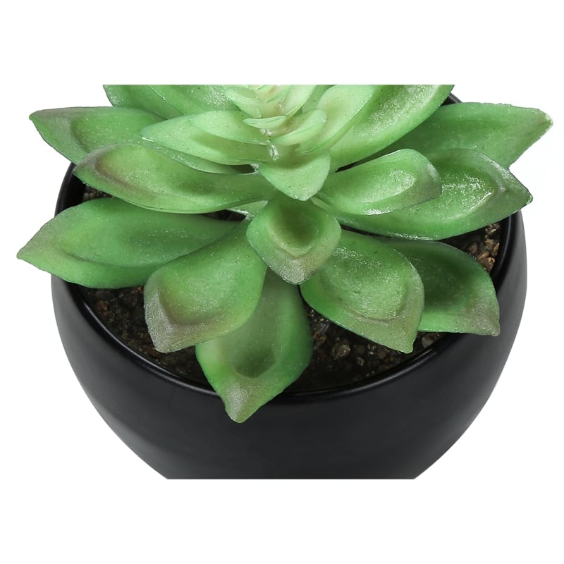 Artificial Plant - 6