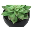 Artificial Plant - 6