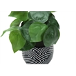 Artificial Plant - 8
