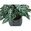 Artificial Plant - 8