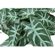 Artificial Plant - 8