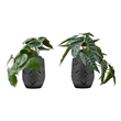 Artificial Plant - 8