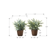 Artificial Plant - 13
