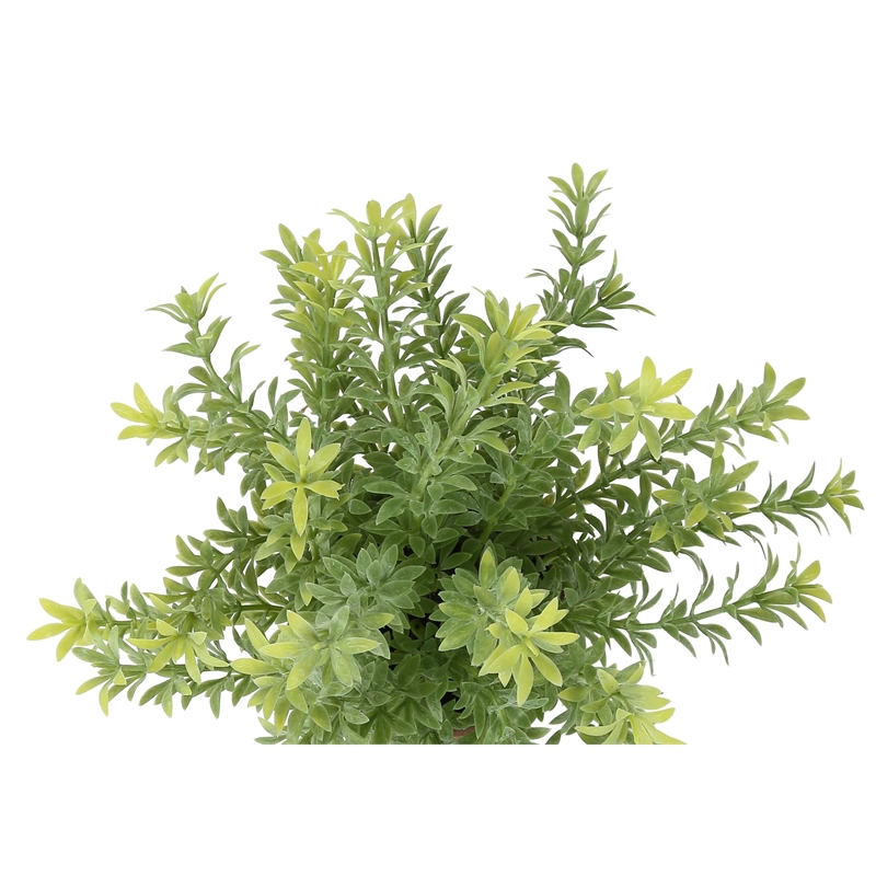 Artificial Plant - Set Of 2 - 12