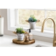 Artificial Plant - Set Of 2 - 7