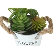 Artificial Plant - Set Of 2 - 7
