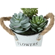 Artificial Plant - Set Of 2 - 7