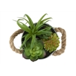 Artificial Plant - Set Of 2 - 7
