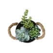 Artificial Plant - Set Of 2 - 7