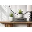 Artificial Plant - Set Of 2 - 9