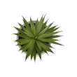 Artificial Plant - Set Of 2 - 9