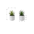Artificial Plant - Set Of 2 - 9