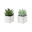 Artificial Plant - Set Of 2 - 8