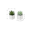 Artificial Plant - Set Of 2 - 8
