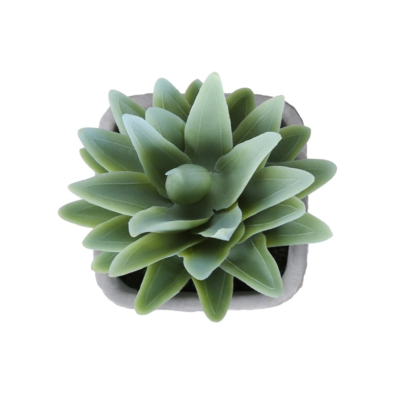 Artificial Plant - Set Of 2 - 8