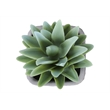 Artificial Plant - Set Of 2 - 8