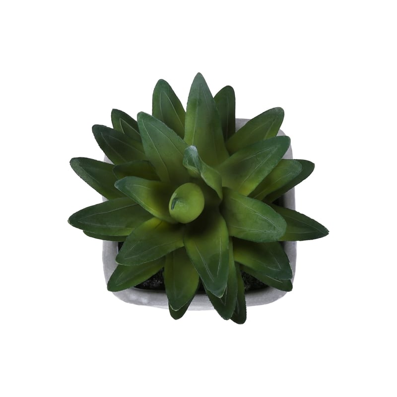Artificial Plant - Set Of 2 - 8