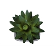Artificial Plant - Set Of 2 - 8