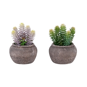 Artificial Plant - Set Of 2 - 8&quot Tall - Succulent - Table - Brown Cement Pots