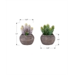 Artificial Plant - Set Of 2 - 8
